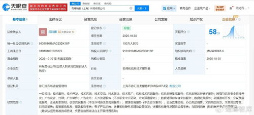 高德在上海成立销服科技公司，注册资本100万元专注信息技术咨询